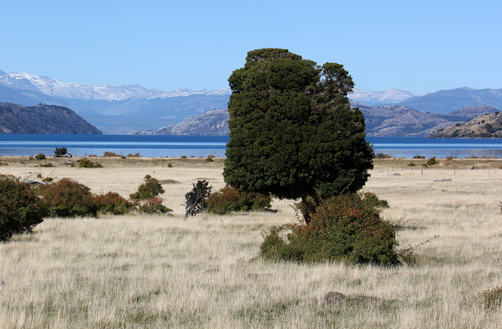 Chile - Patagonia Sur - Regiones de Aysén y Magallanes